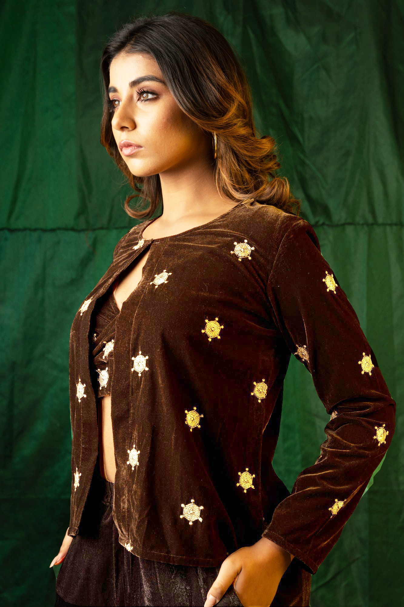 Brown Embroidered Velvet Jacket