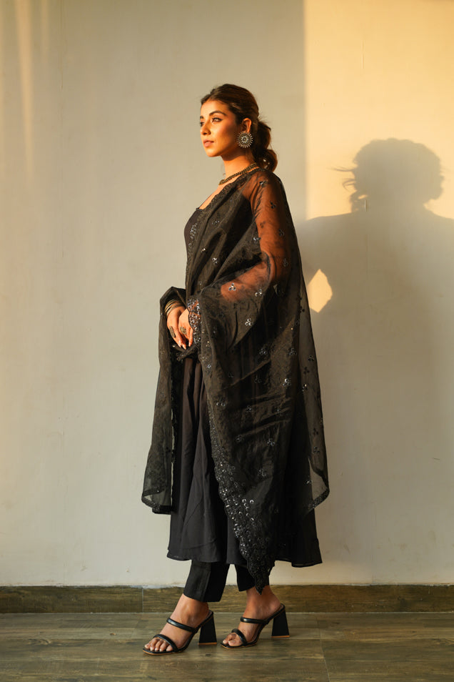 Regal Black Shiny Anarkali