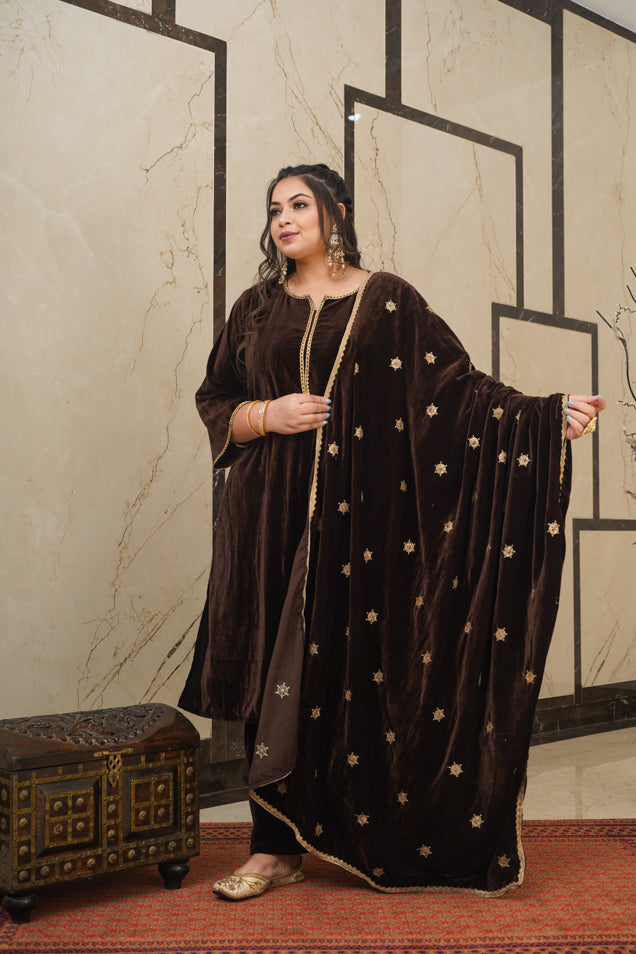 Brown Velvet Embroidered Shawl