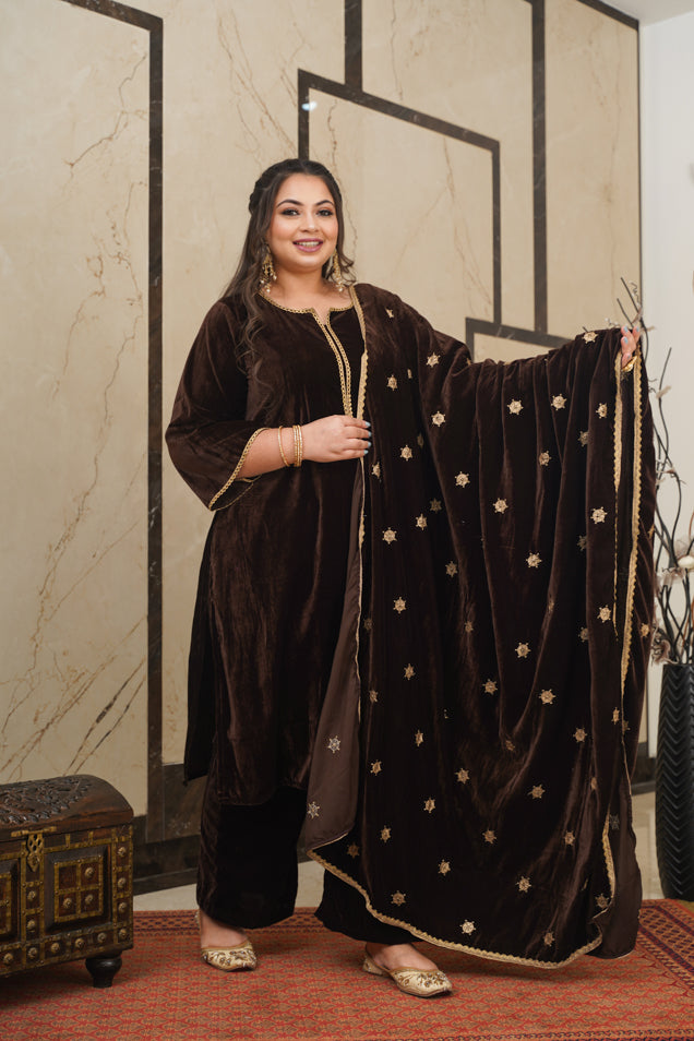 Brown Velvet Embroidered Shawl