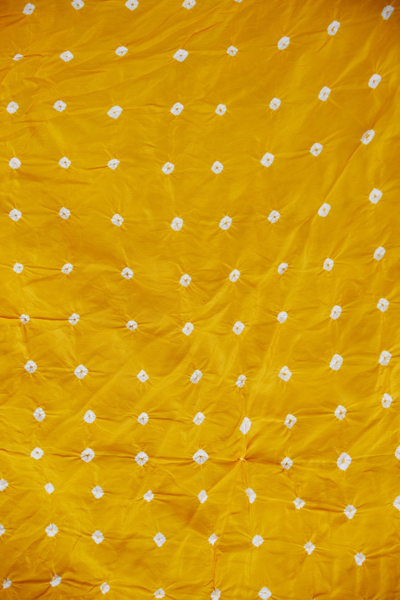 Sunshine Organza Leheriya Saree