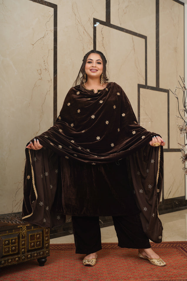 Brown Velvet Embroidered Shawl
