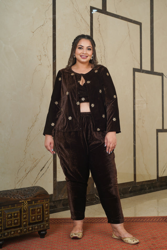Brown Embroidered Velvet Jacket-Plus Size